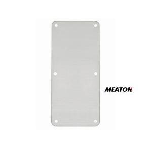 PLACA CIEGA INOX (SANATORIO) 100X300X1.2